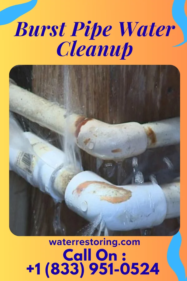 Burst Pipe Water Cleanup in Somerset, MD