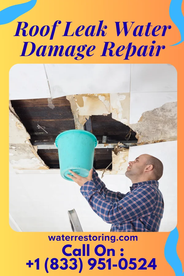 Roof Leak Water Damage Repair in Somerset, MD
