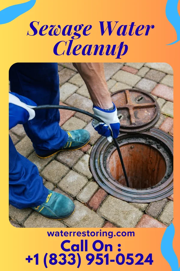 Sewage Water Cleanup in Somerset, MD