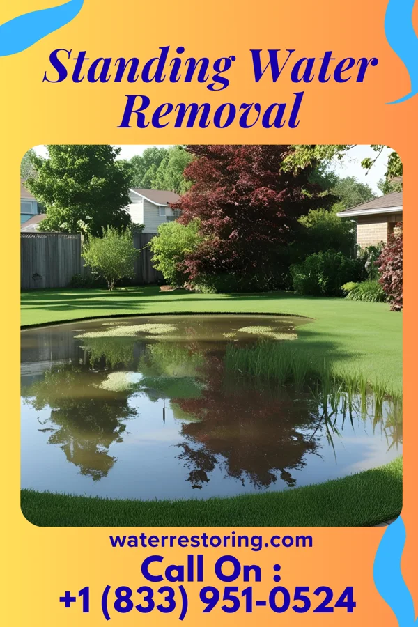 Standing Water Removal in Somerset, MD